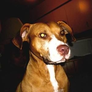 Meet your Posher, Cheryl